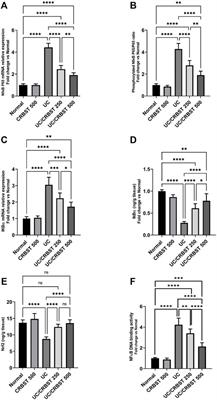 Carbocisteine as a Modulator of Nrf2/HO-1 and NFκB Interplay in Rats: New Inspiration for the Revival of an Old Drug for Treating Ulcerative Colitis